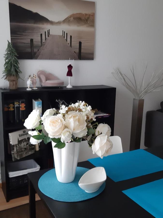 Apartment Tuebingen-lustnau