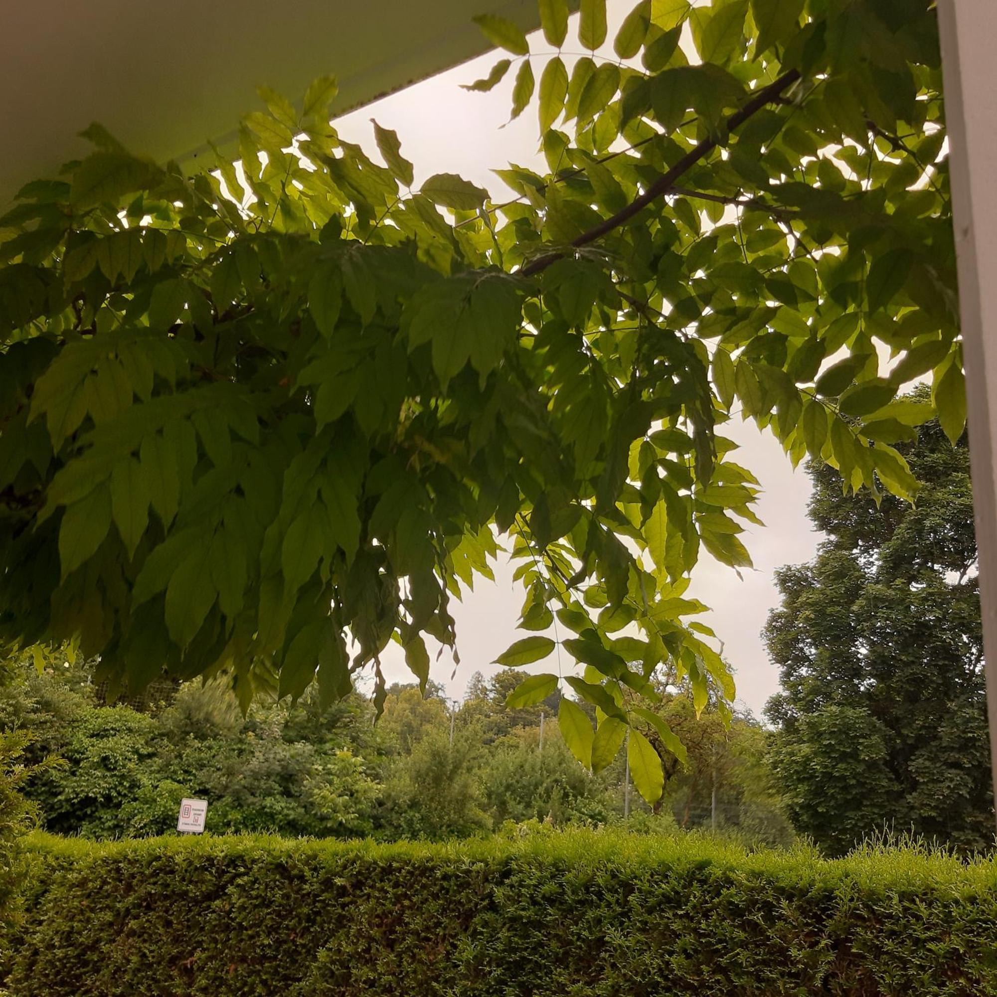 Apartment Tuebingen-lustnau *